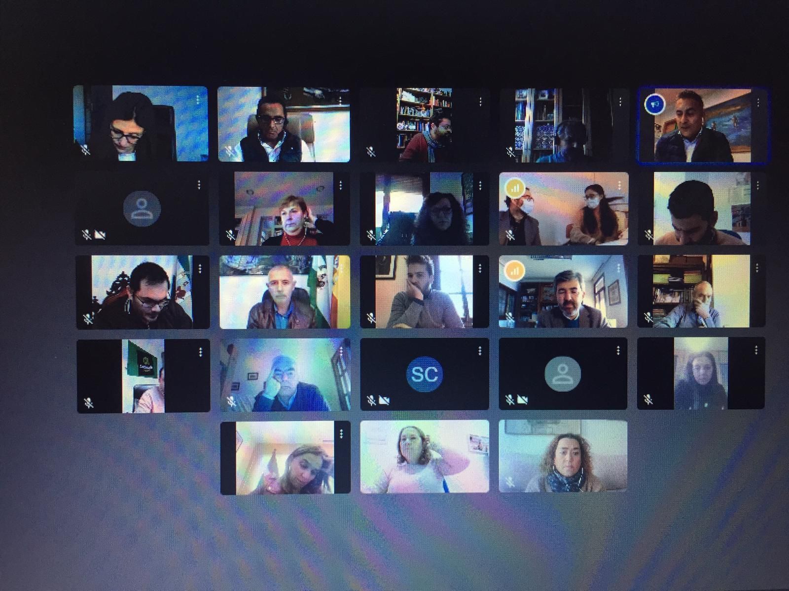 Participantes en la reunión celebrada de manera virtual.