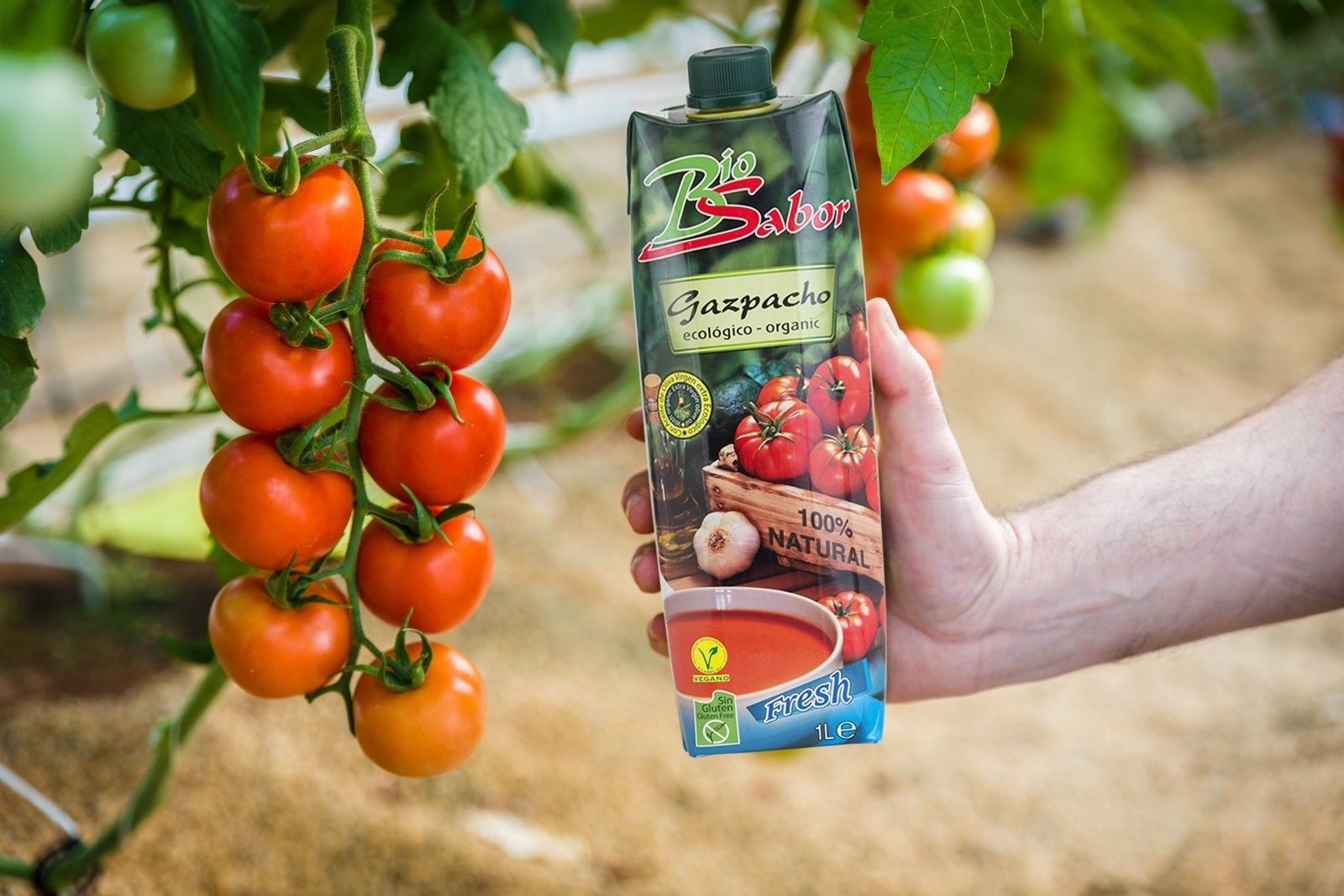 El estudio diseñado por Biosabor ha consistido en un protocolo de semi-ayuno donde se restringen las calorías, pero se aumentan los nutrientes.