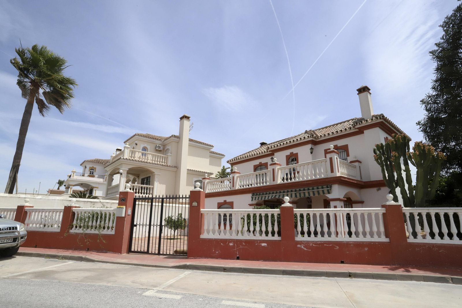 Campanillas en fotos