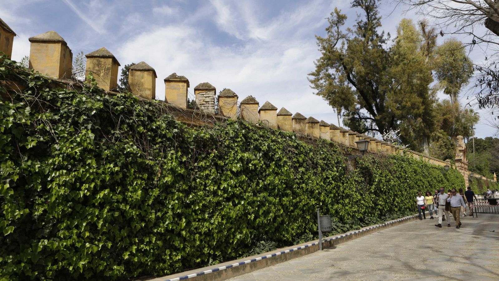 La tapia del Real Alcázar del Paseo Catalina de Ribera será intervenida.