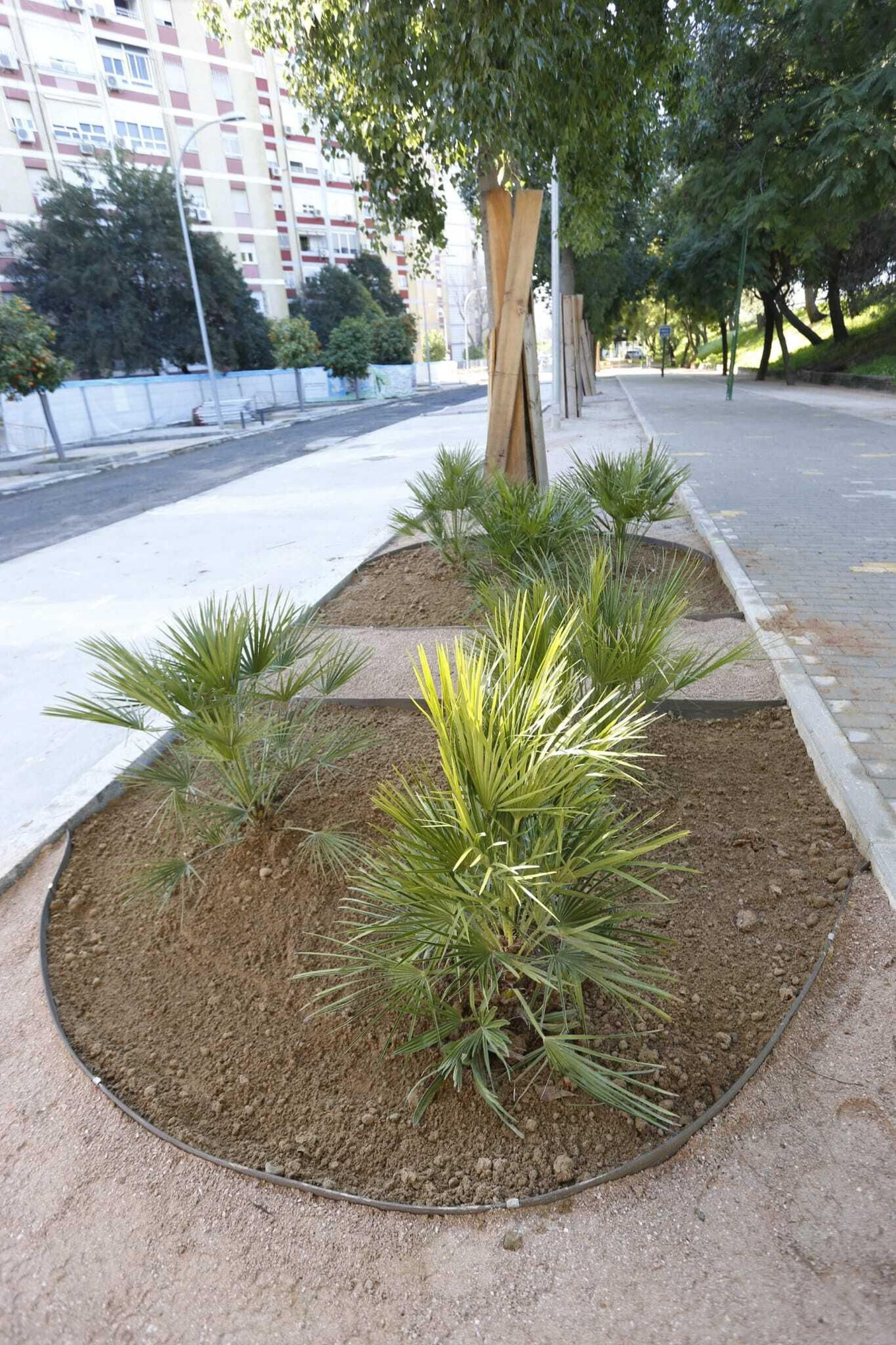 Uno de los nuevos parterres.