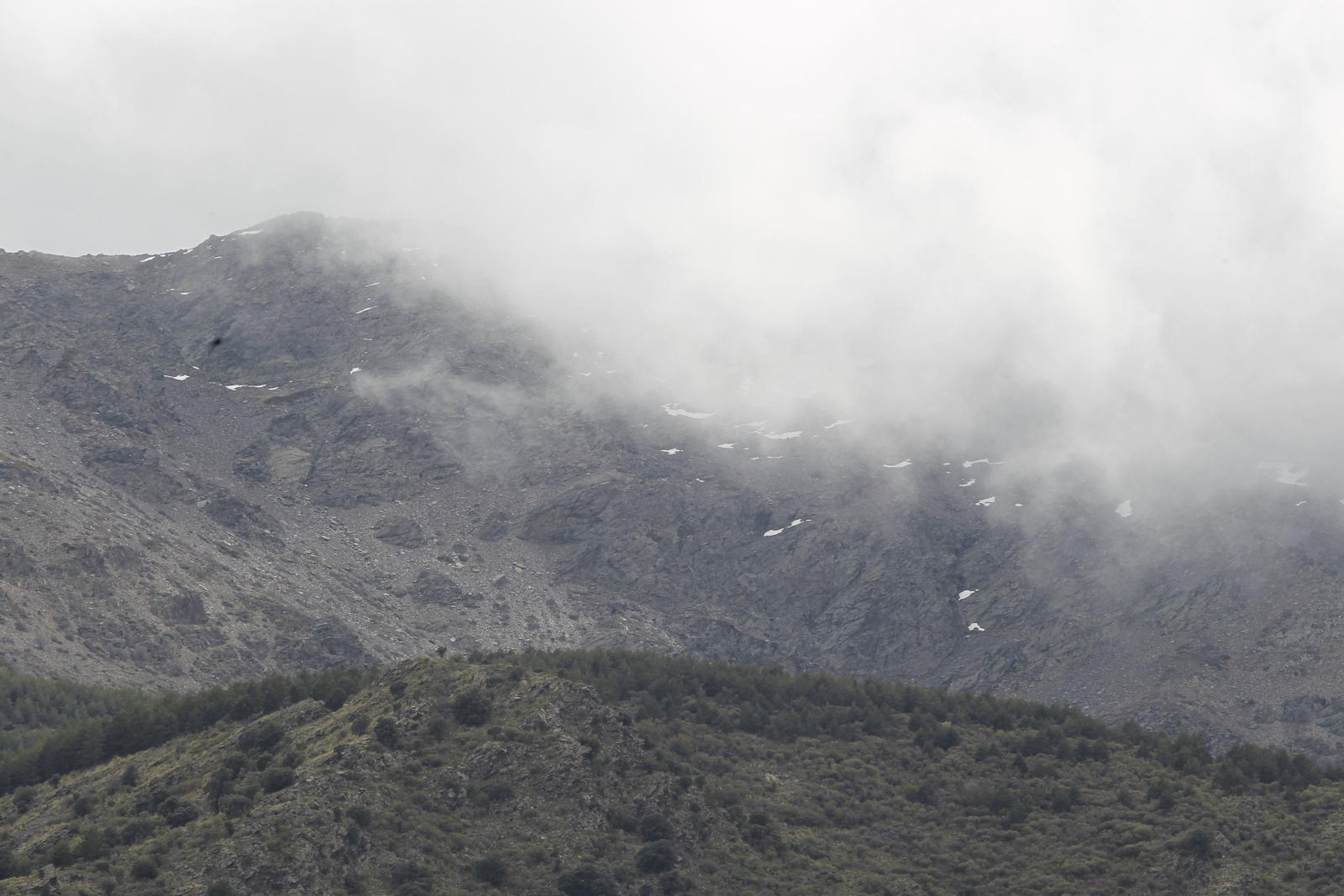 Naturaleza desconfinada. La Roza (Abrucena)