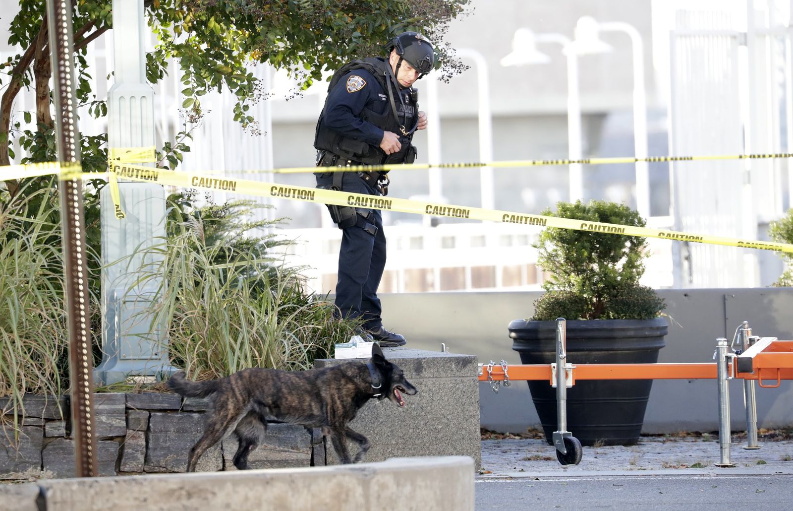 El atentado de Manhattan, en imágenes
