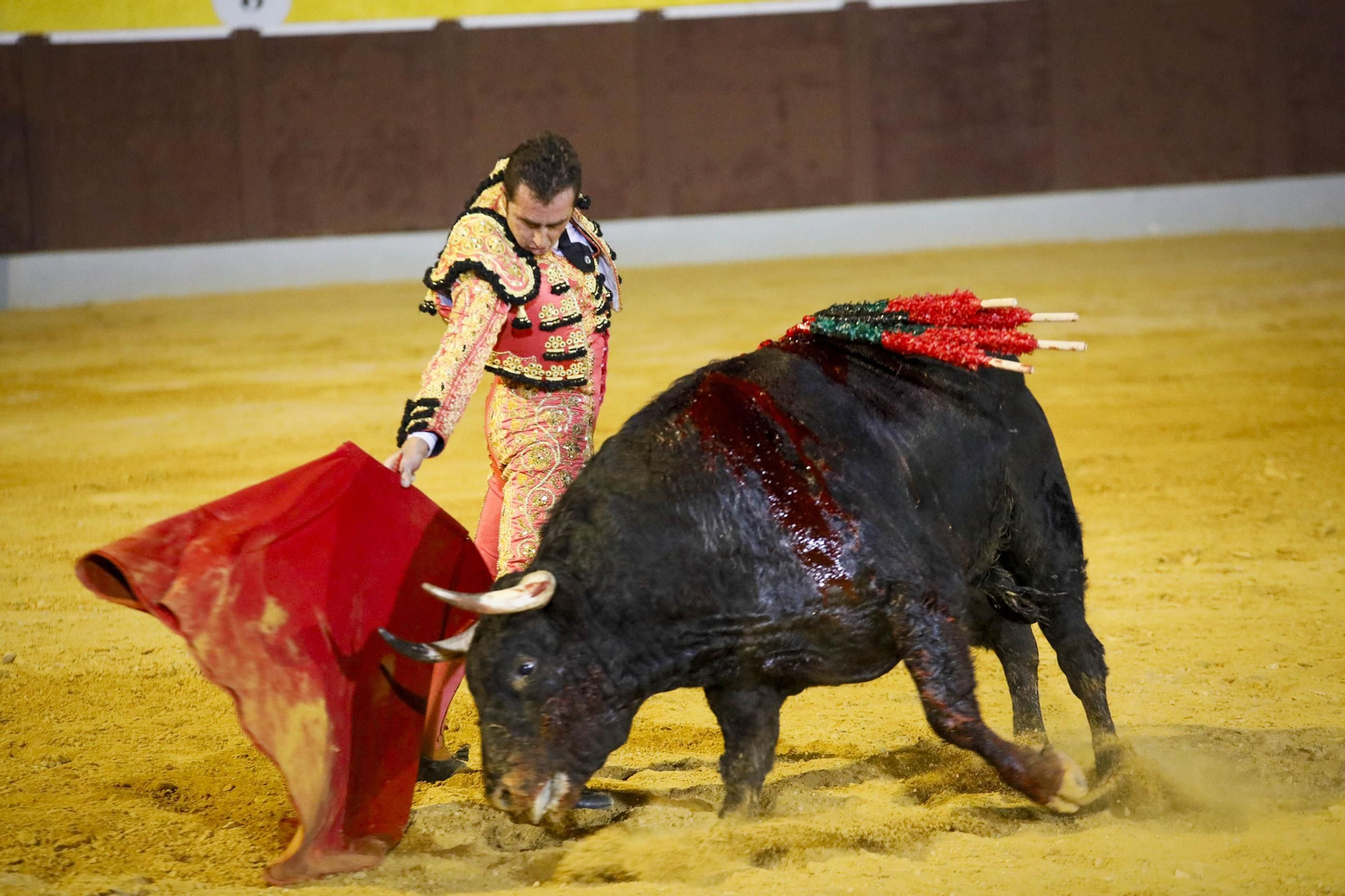 Corrida de toros Berja con un toro indultado, en imágenes