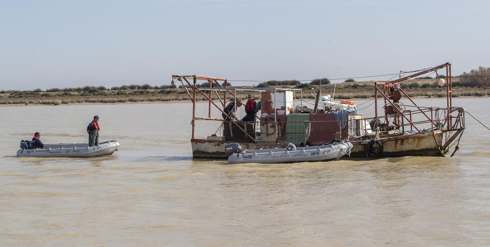 Operación Ave  fenix contra la pesca  de la angula