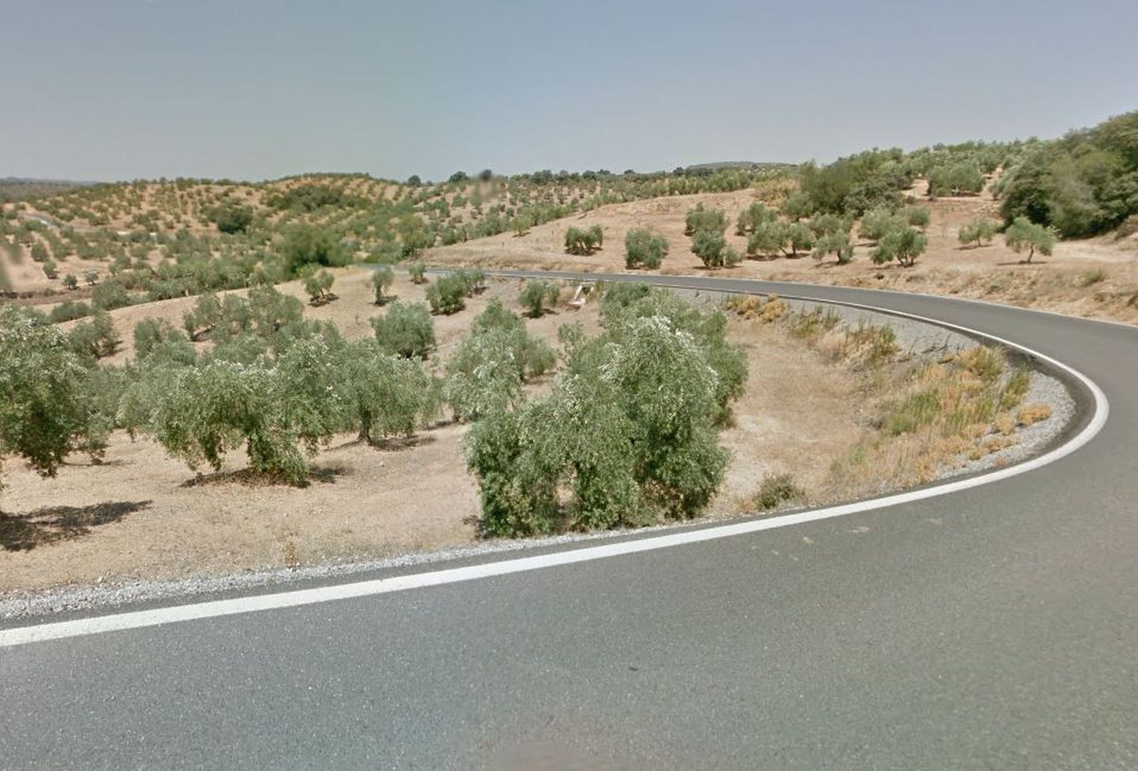 Curvas en la carretera A-3001 en Adamuz.