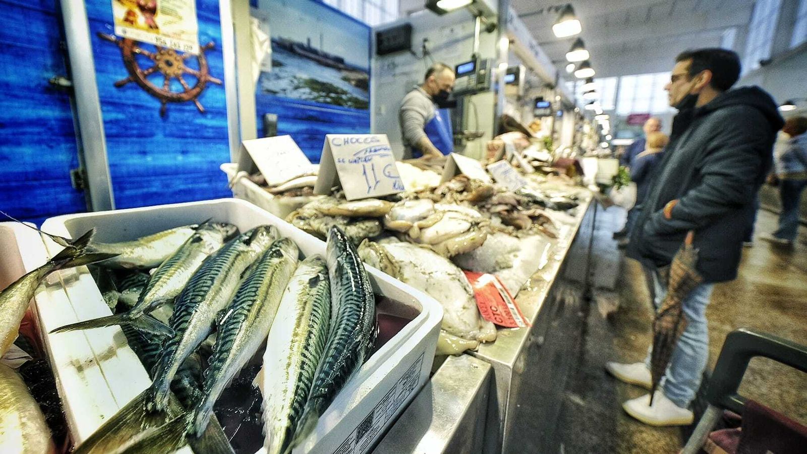 Los boquerones, las pijotas y el salmonete son difíciles de encontrar en las pescaderías de Cádiz. De lo demás hay casi de todo