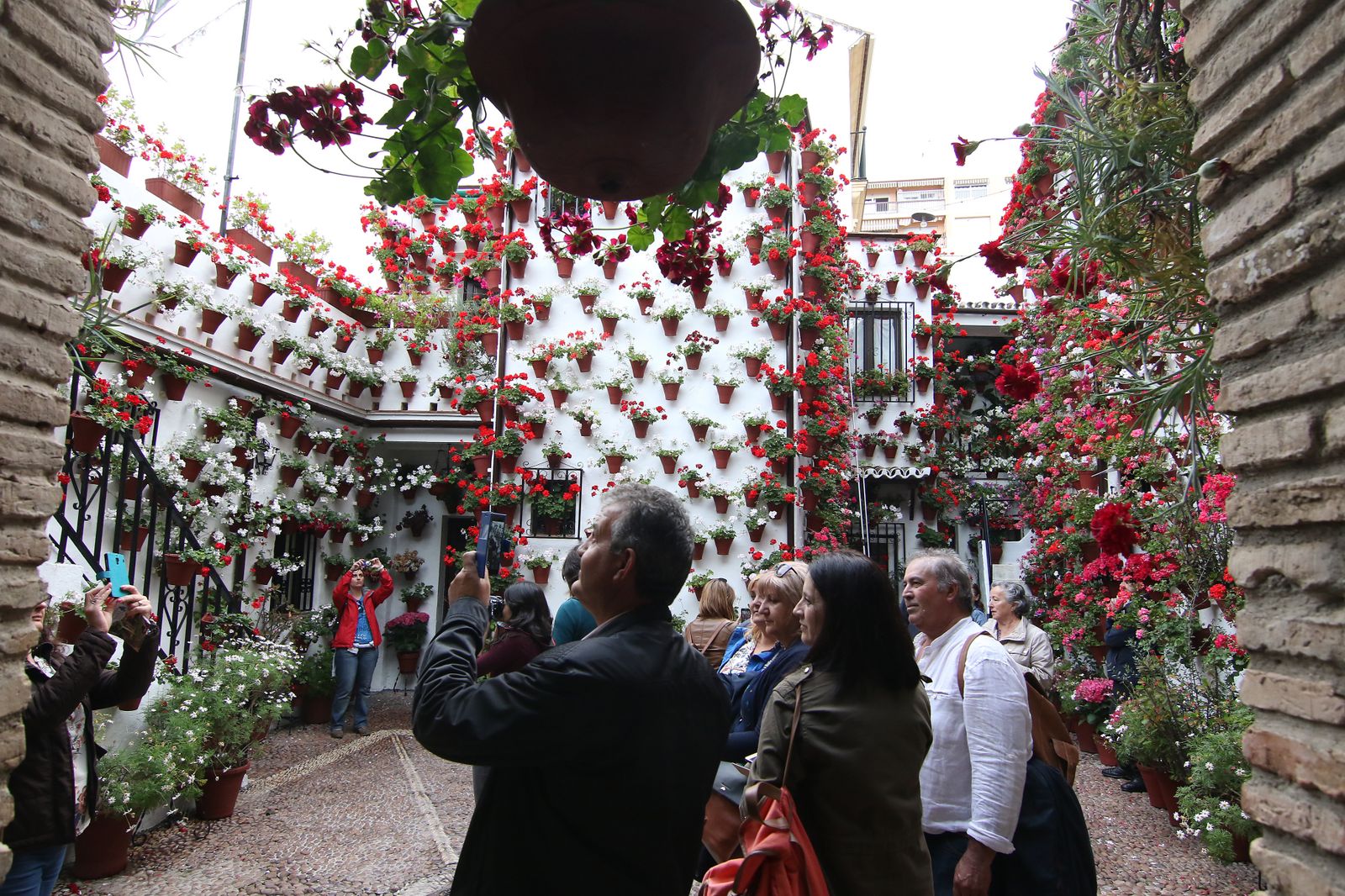 Los patios ganadores en el concurso de los Patios de Córdoba 2017