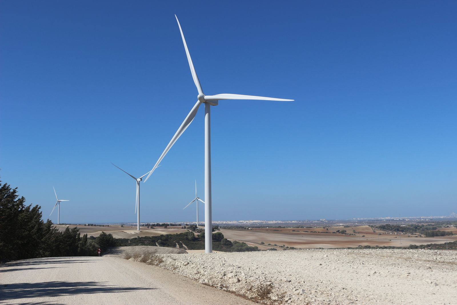 Parque eólico de El Marquesado que lleva en funcionamiento desde 2019