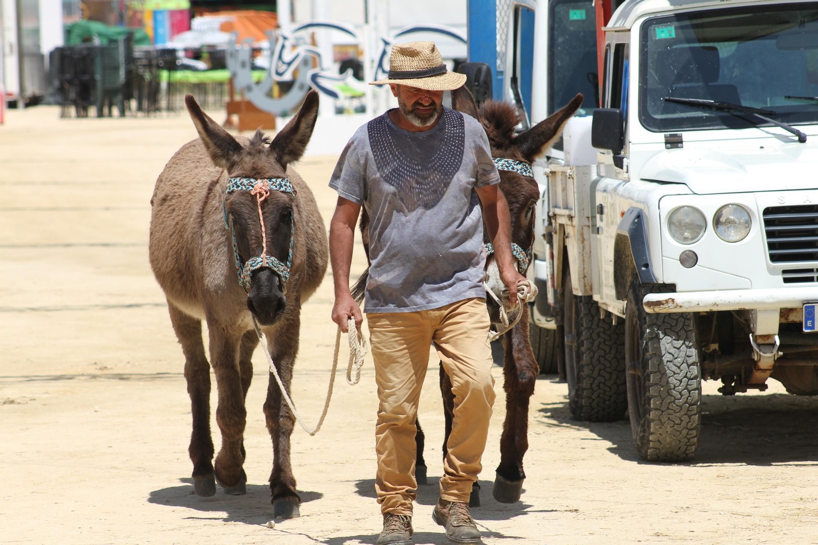 Jueves de feria de Vejer, en imágenes
