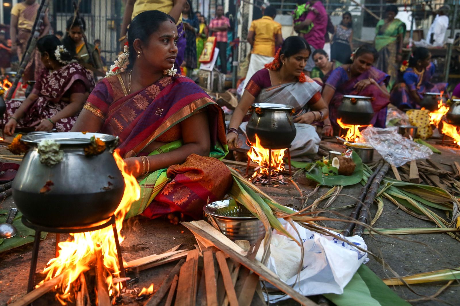 Las preciosas imágenes del Festival Thai Pongal en India