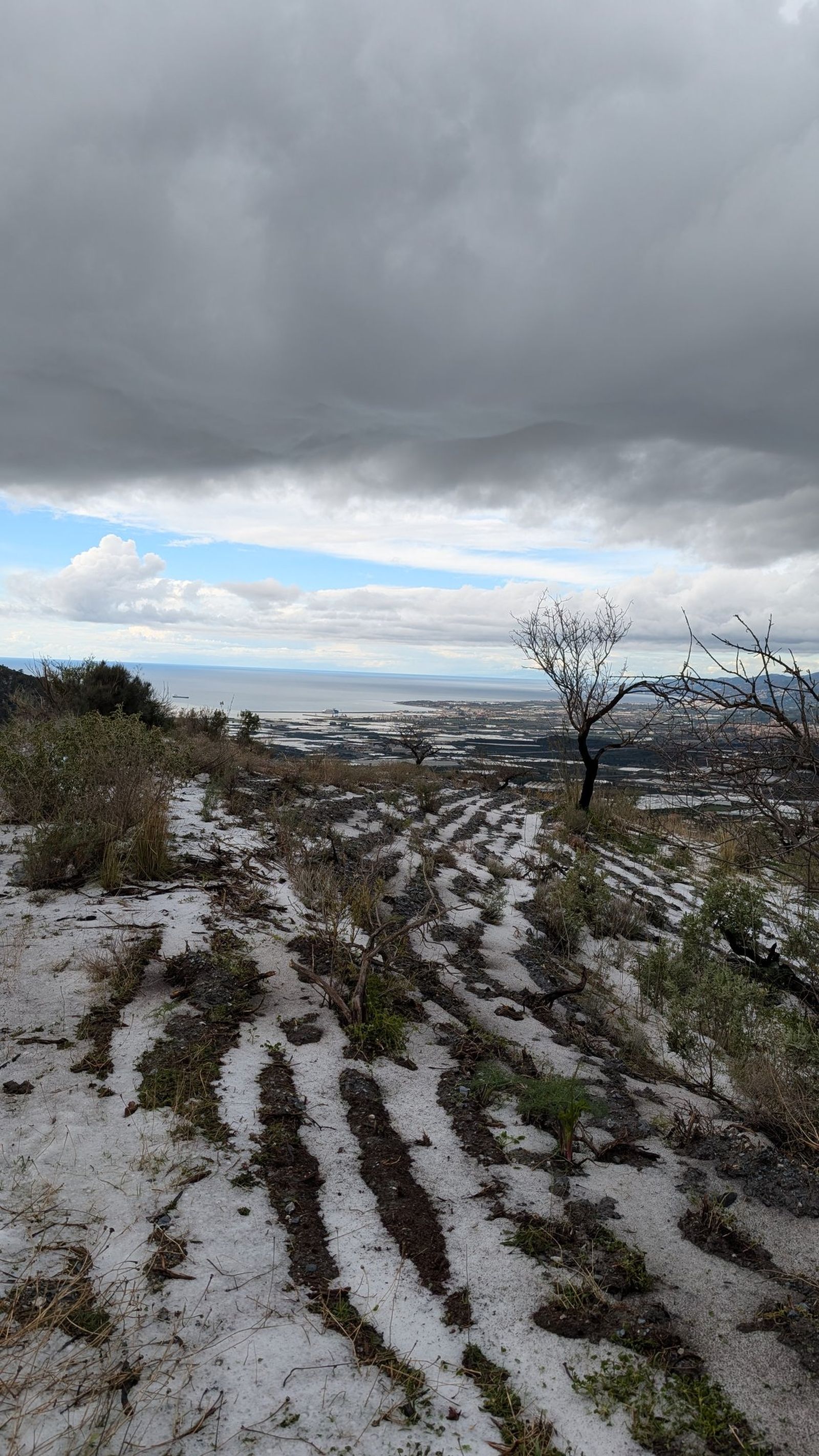 El granizo cubre la Sierra Lújar y la Sierra del Conjuro en la Alpujarra de Granada: las imágenes