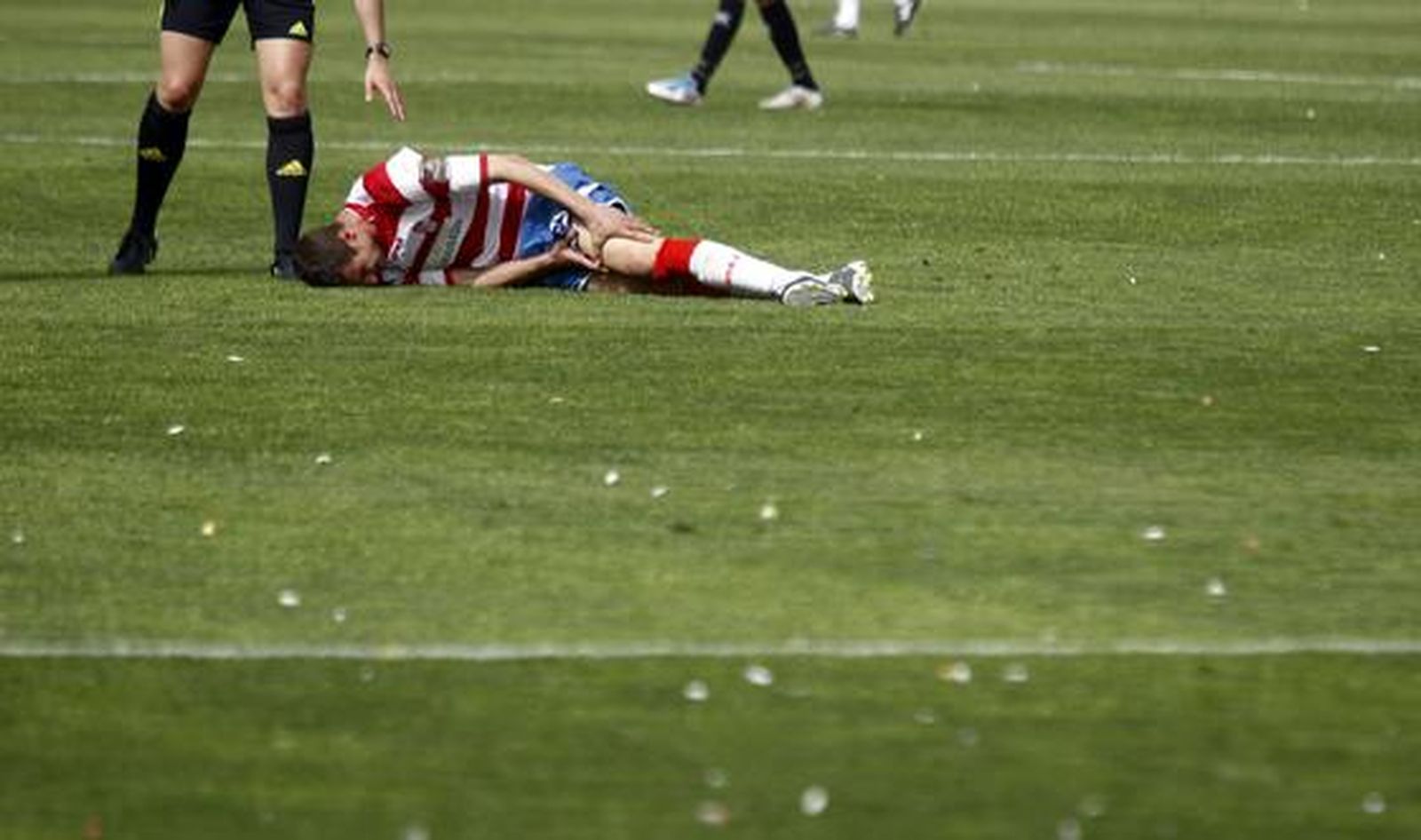 Foto: Pepe Villoslada