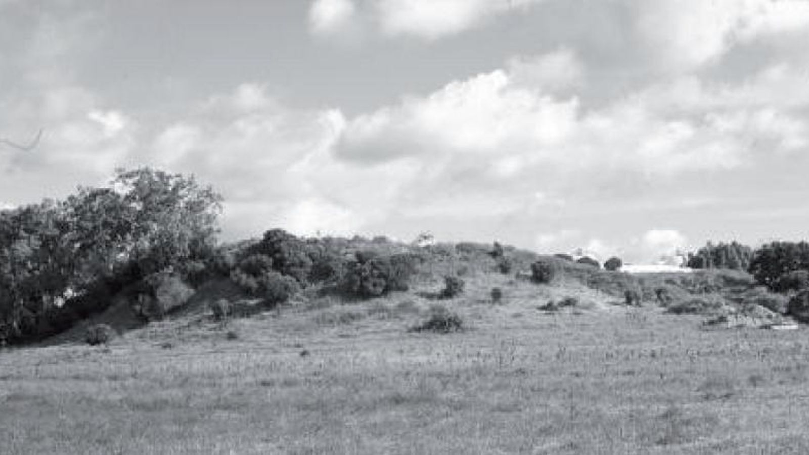 El Cerro del Prado en el año 1975.
