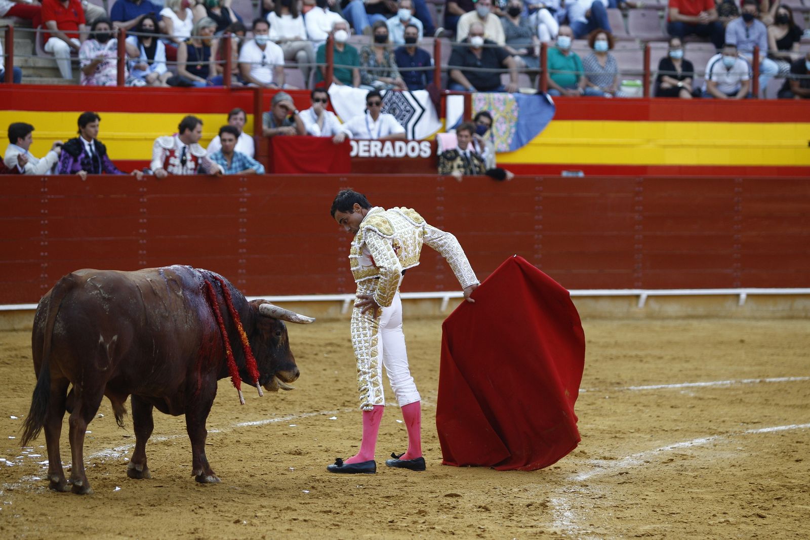 Fotogalería corrida de toros. Cayetano Rivera, Paco Ureña y Roca Rey. Roquetas de Mar.
