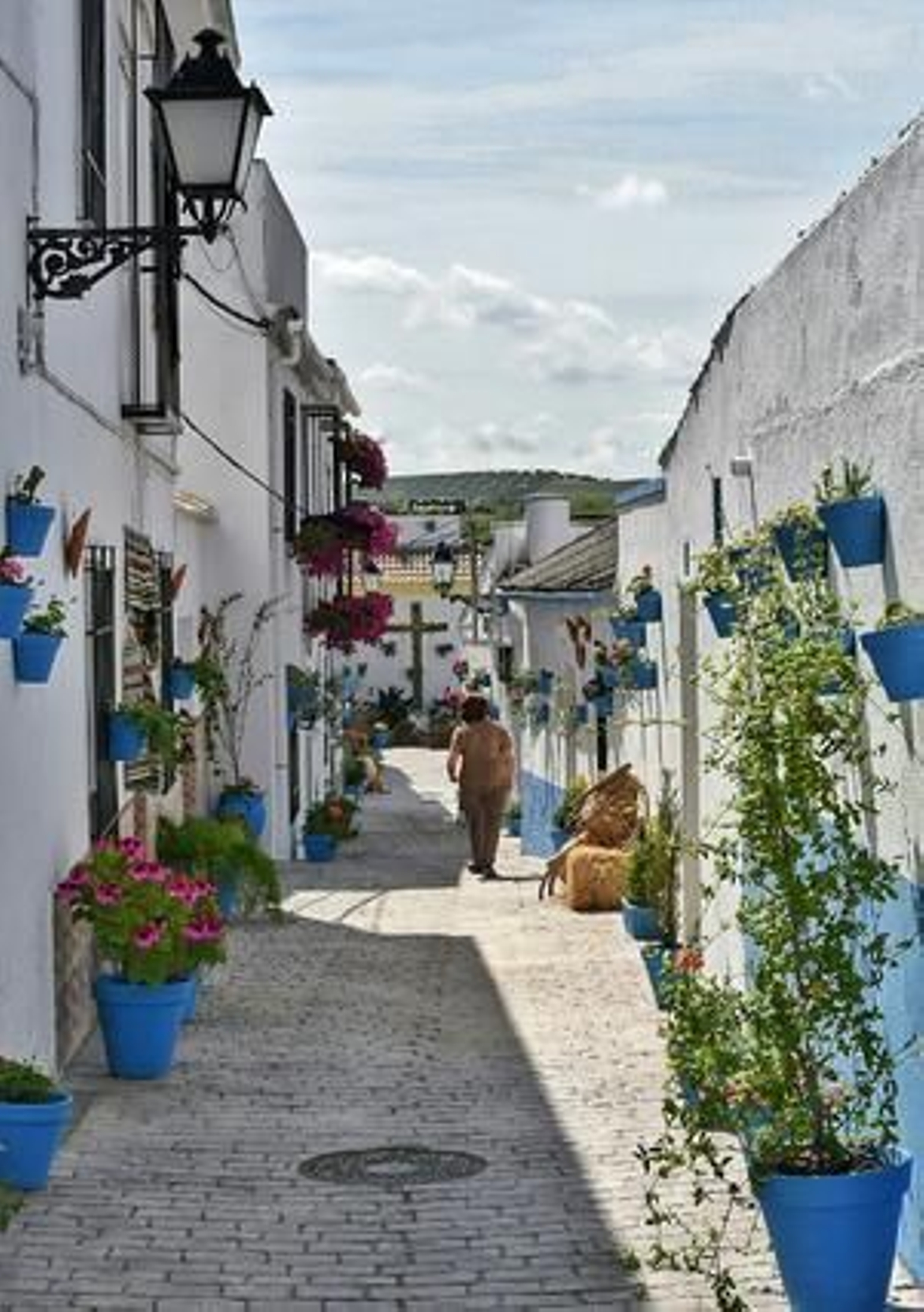 Calle Pozo Fuente, en Cañete, tercer premio de rincones típicos.