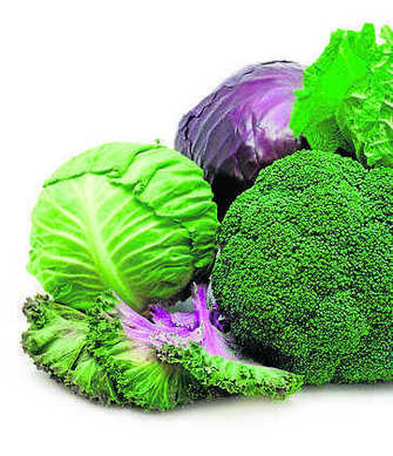 Verduras crucíferas.