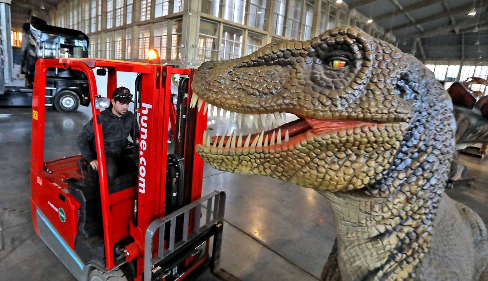 Imágenes del montaje de la mayor exposición de dinosaurios animatrónicos