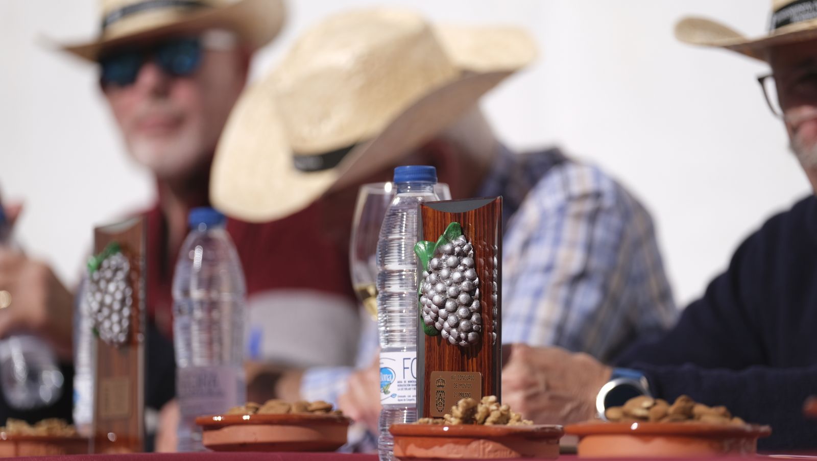 Imágenes del Certamen de Mostos de Fiñana