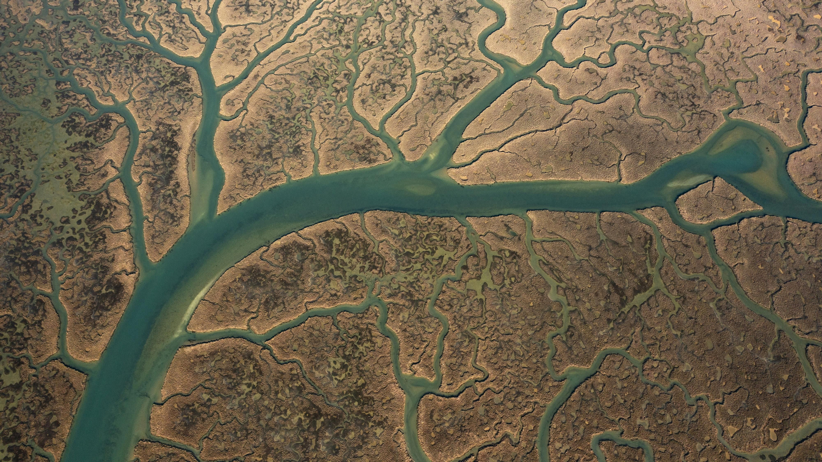 Día Mundial de Agua 2022