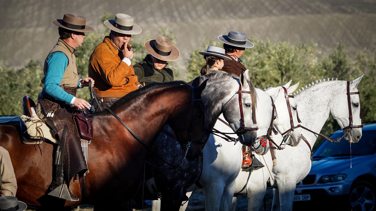 I Ruta de Carruajes Viñas de Jerez