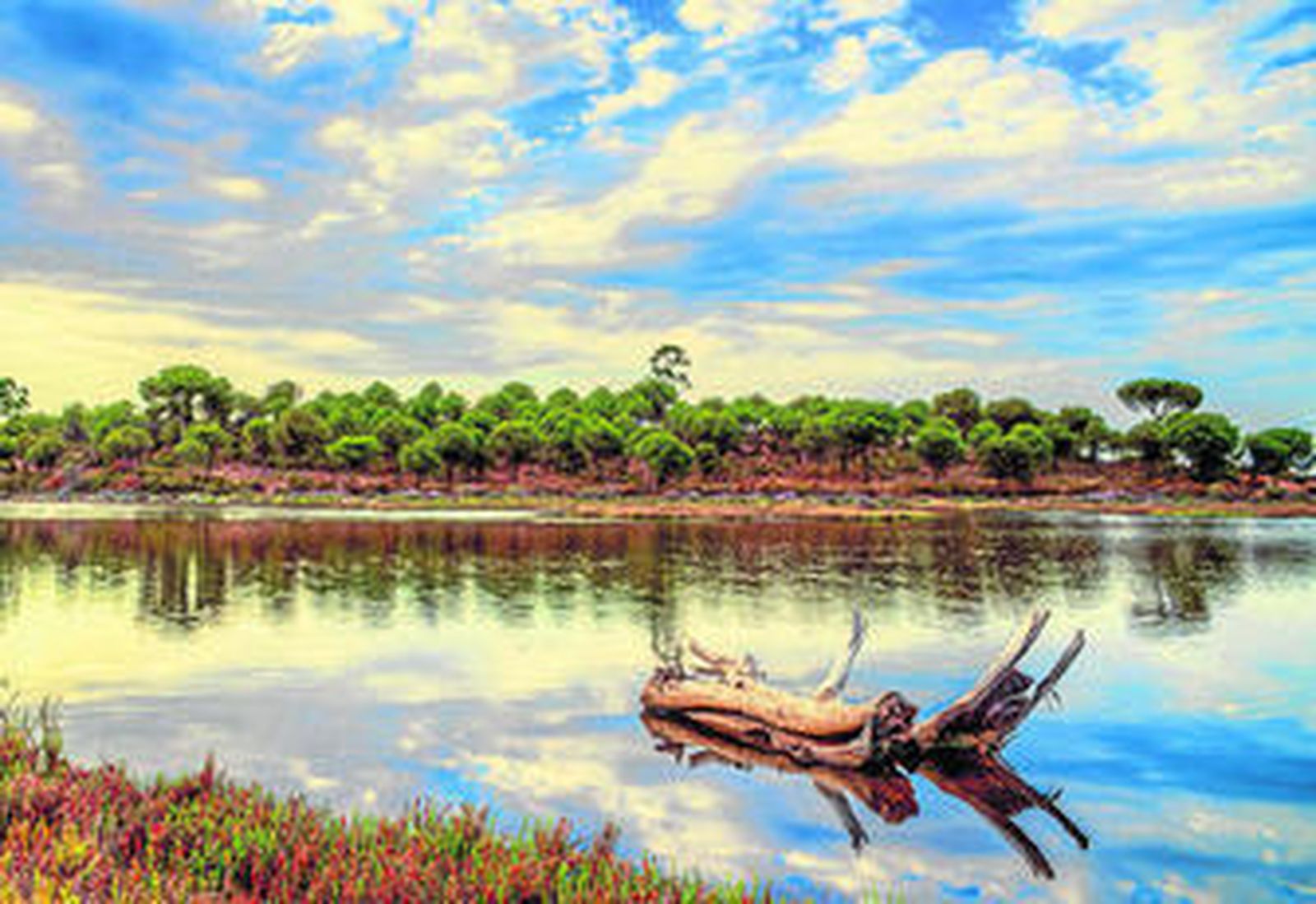 La foto titulada 'Placidez' se alzó con el segundo premio del concurso.