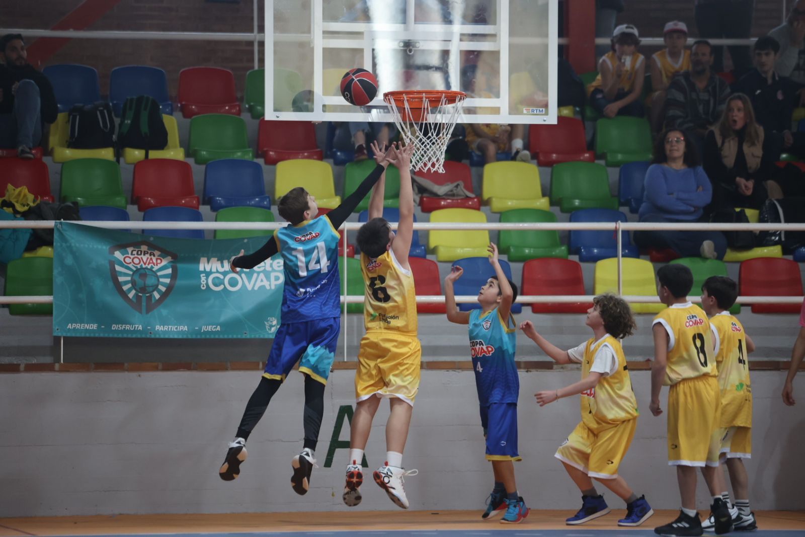 Las mejores fotos de la Copa Covap en Palma del Río