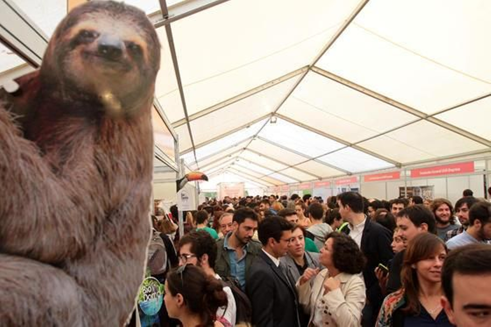 Foto: María de la Cruz