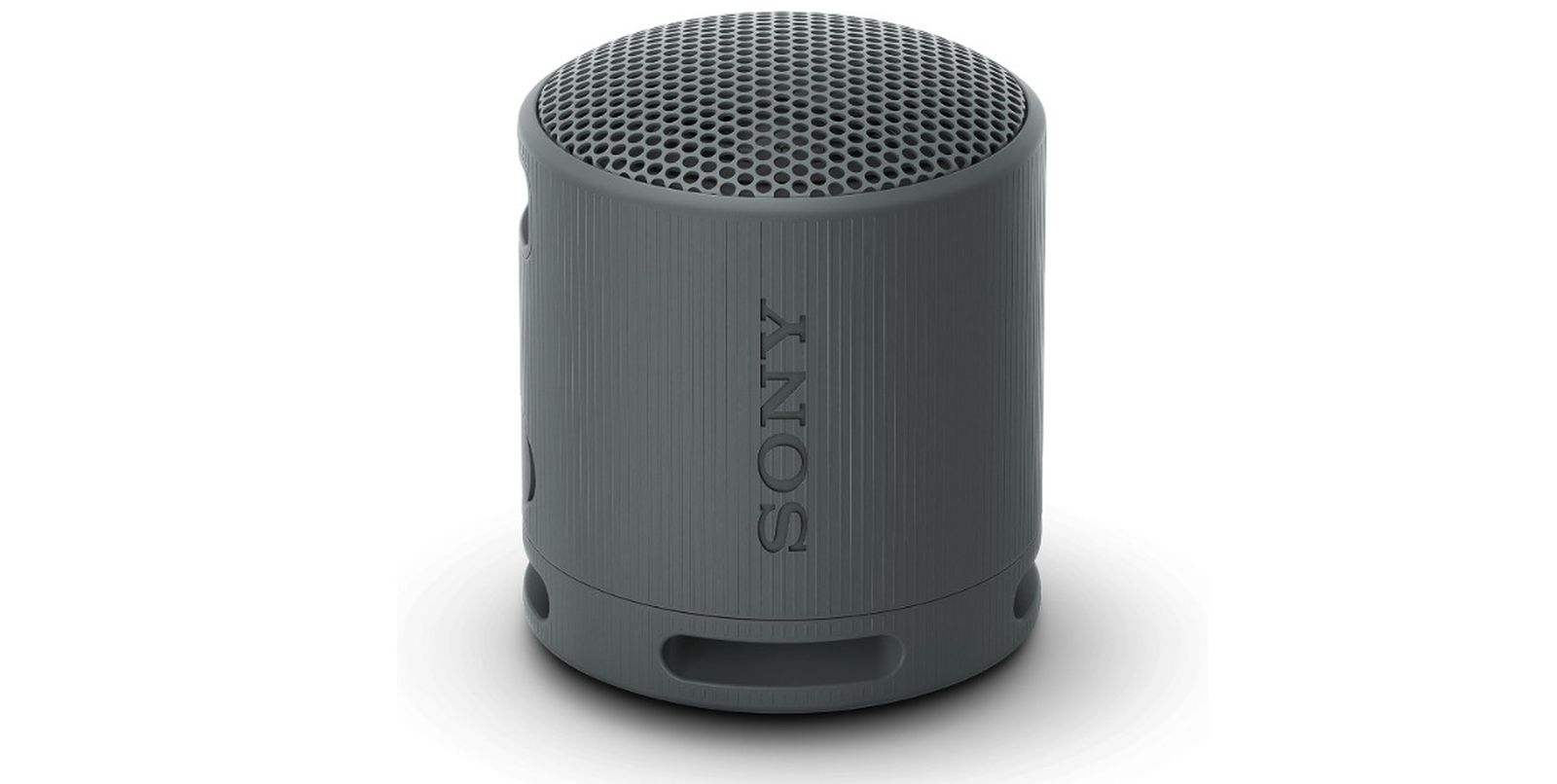 Sony SRS- XB100