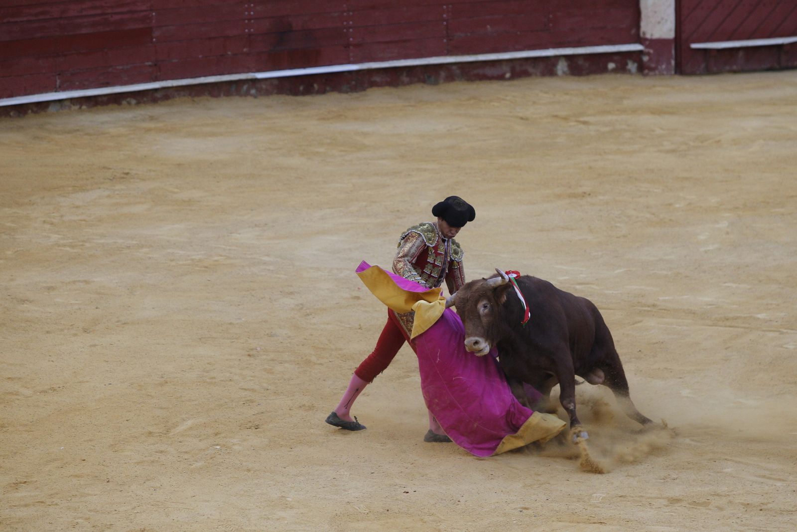 Fotogalería novillada Escuela Taurina de Almería. Feria de Almería 2019