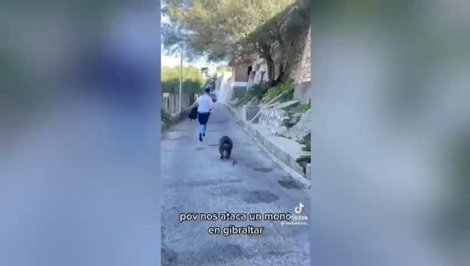 Vídeo de TikTok de @martamoron_. Vídeo de TikTok de @martamoron_.