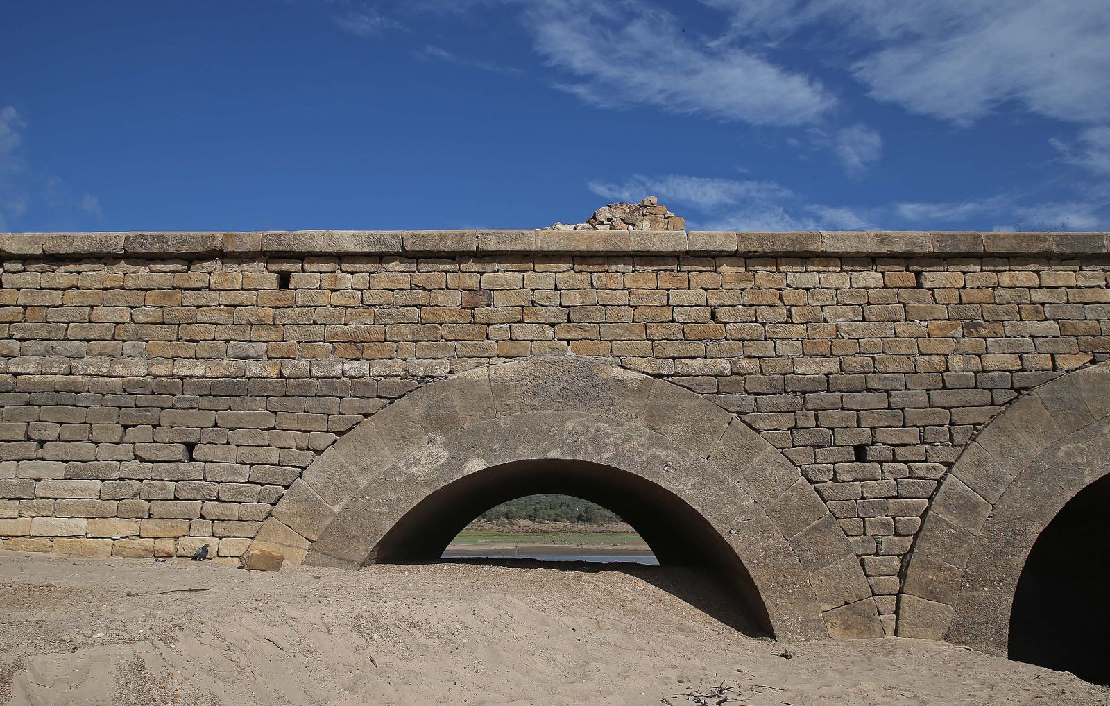 Imágenes del pantano de Charco Redondo en Los Barrios