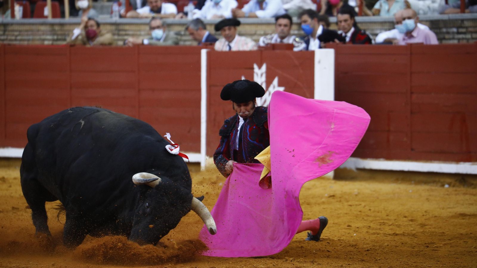 Morante recibe a uno de sus toros con el capote.