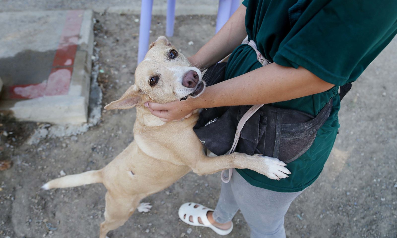 Una voluntaria da cariño a un perro abandonado.