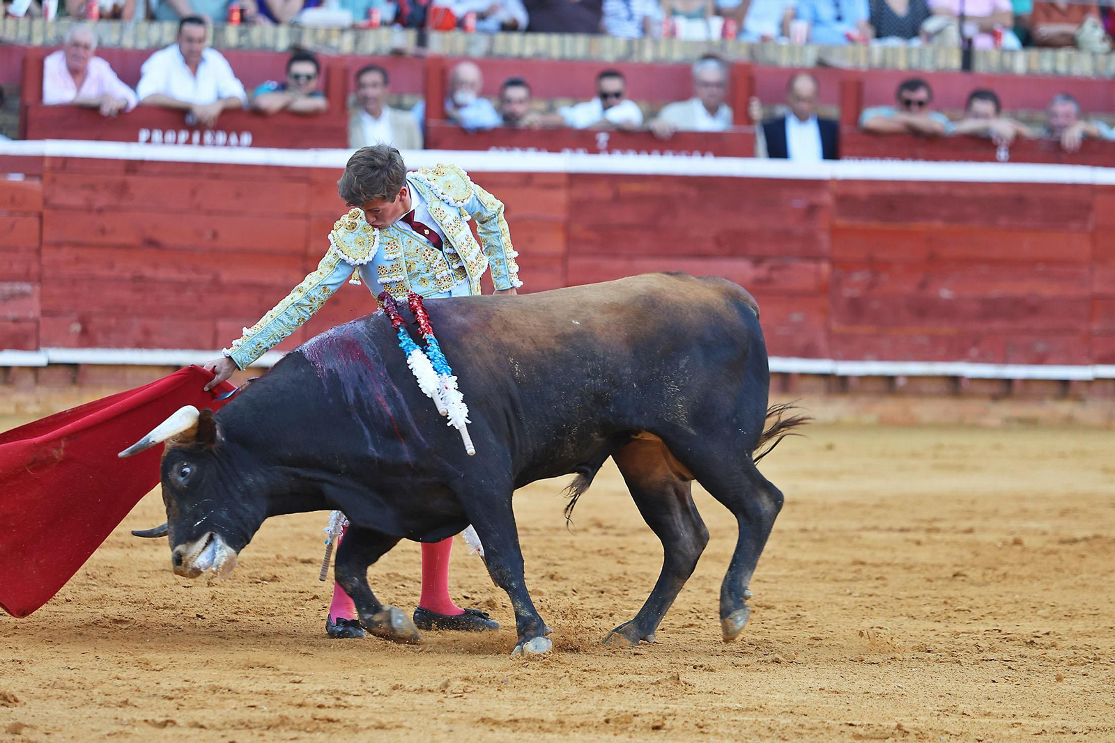 Toros La Merced 2024 Novillada con picadores(