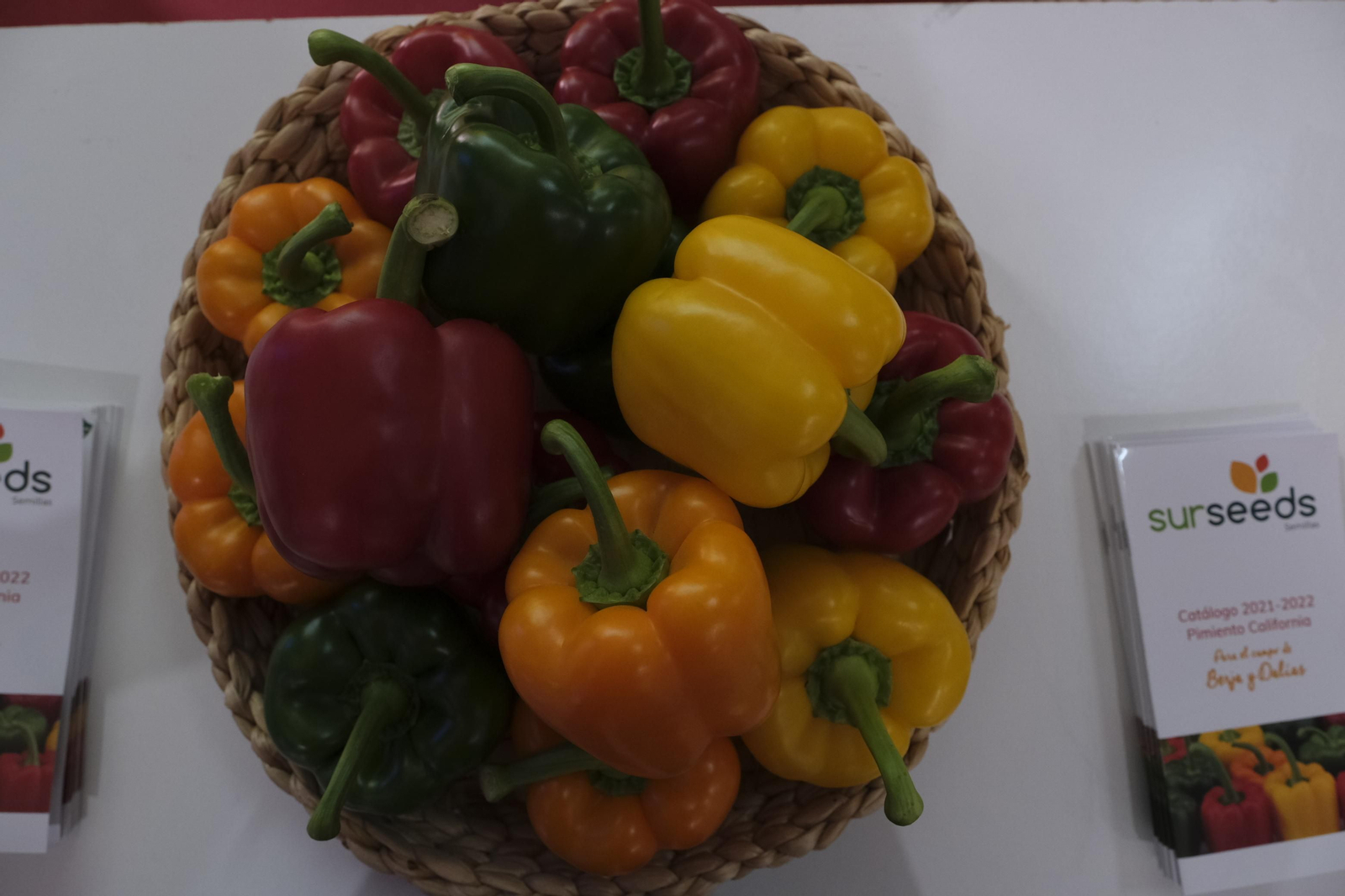 Fotogalería Jornadas de Pimiento Temprano. Dalías (Almería)