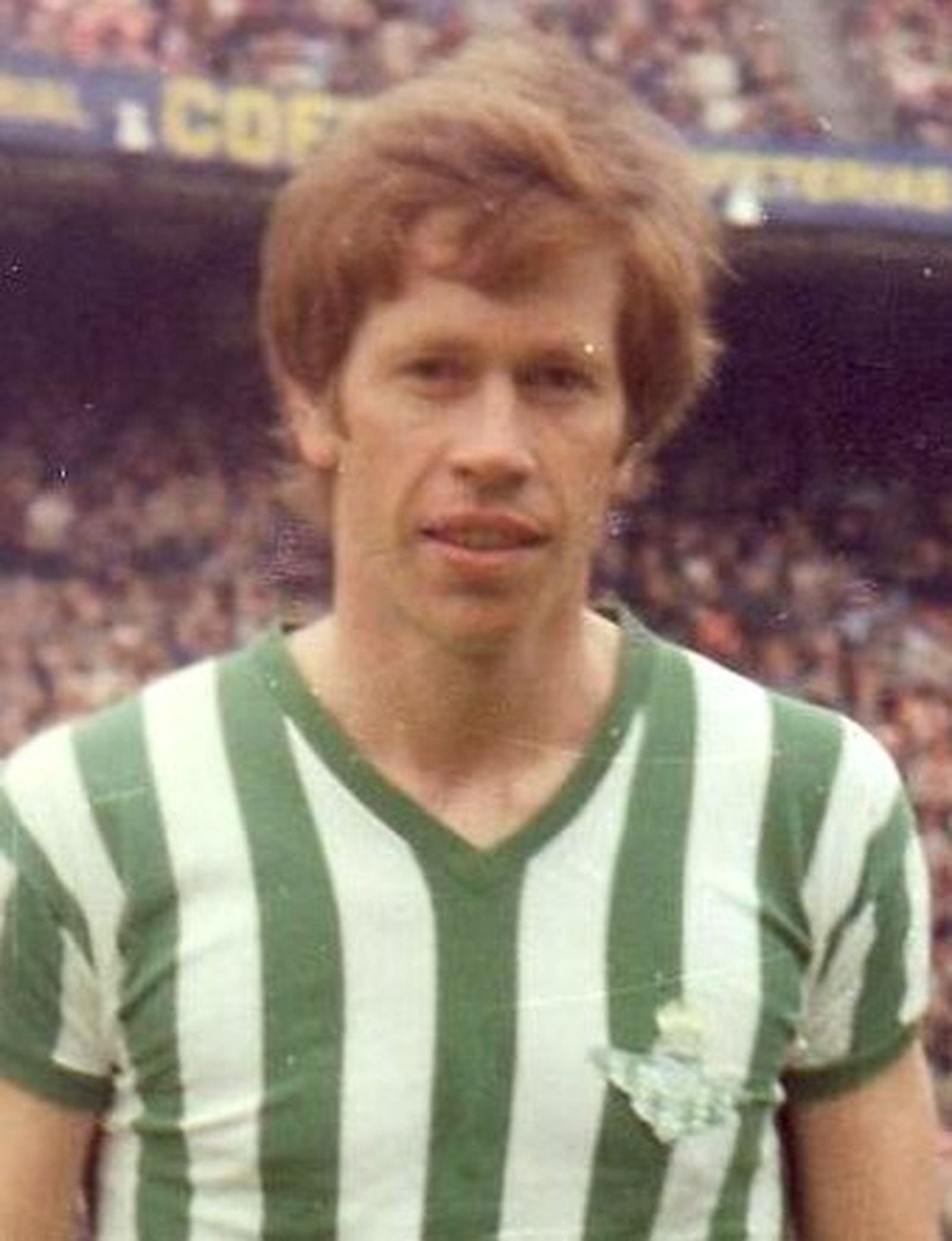 Fallece Mühren, el tulipán más elegante