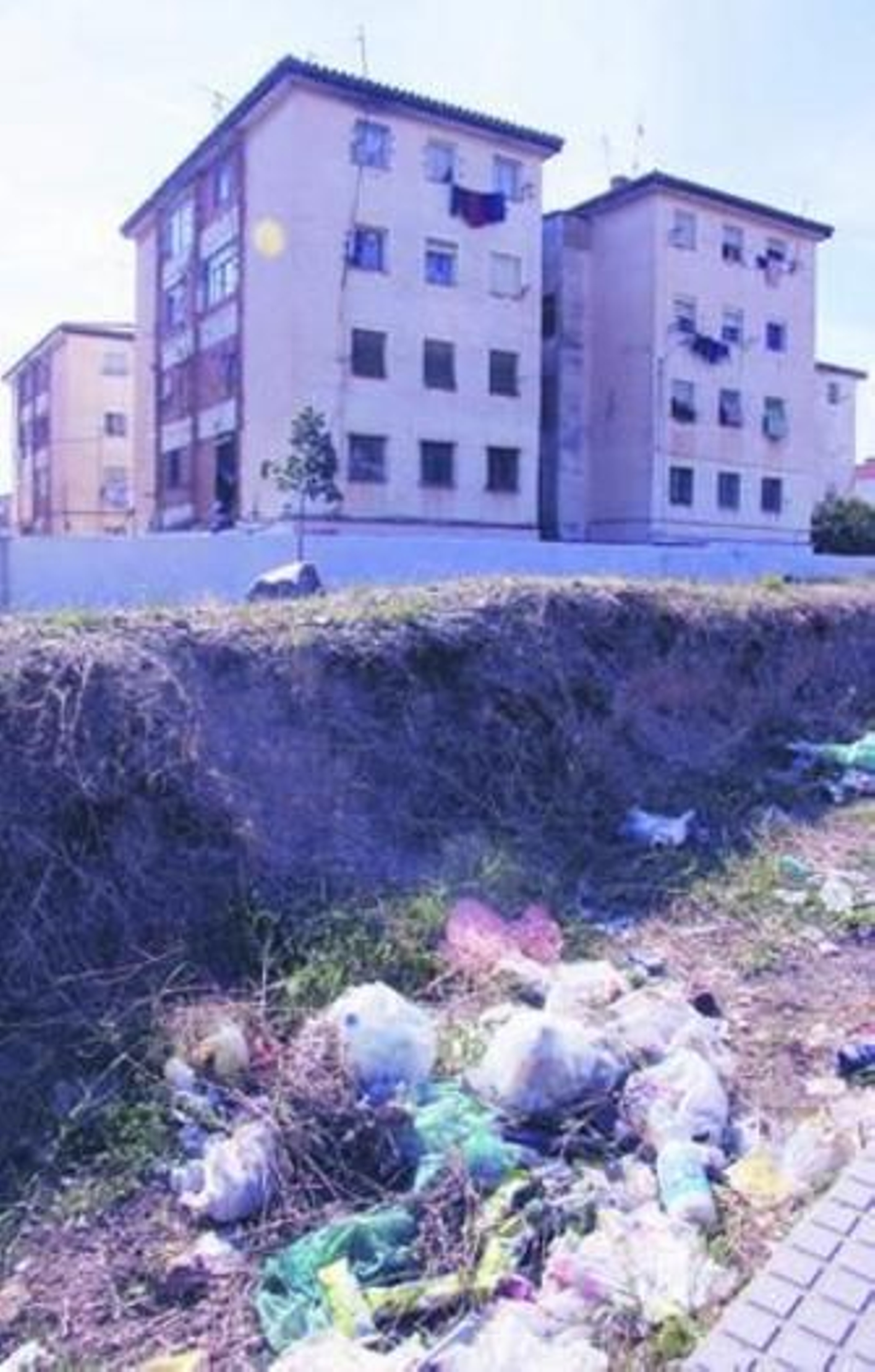 Apuntes a una vena abierta