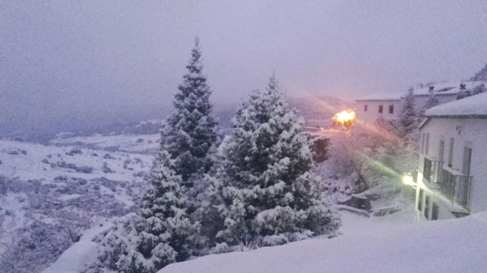 Imágenes de la nevada en la Sierra de Cádiz