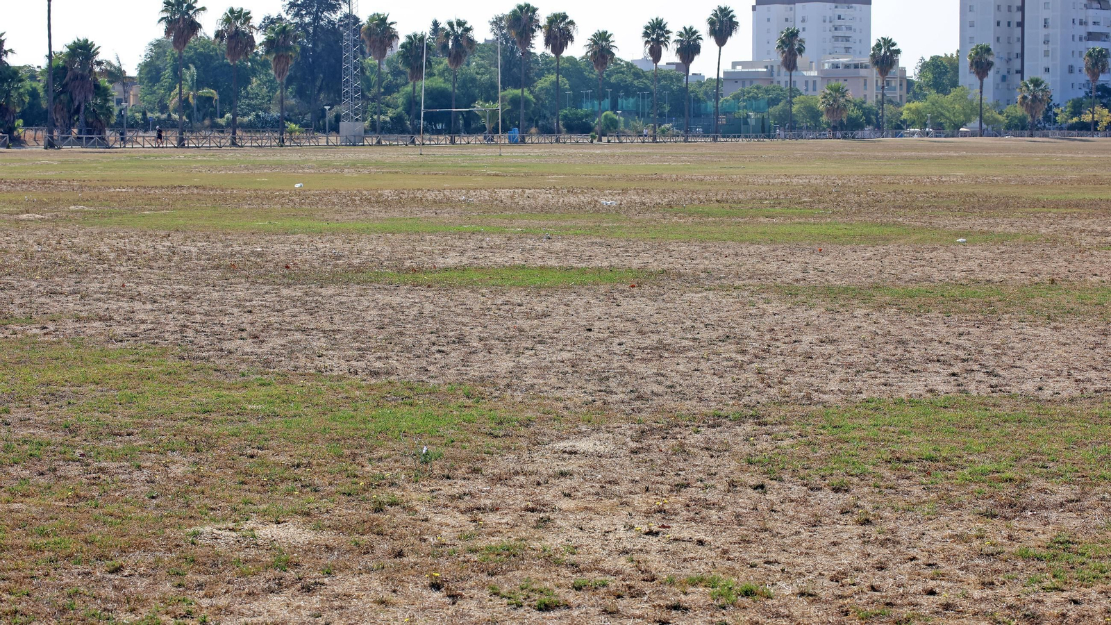 Este es el estado en que se encuentra la Pradera de Chapín en Jerez