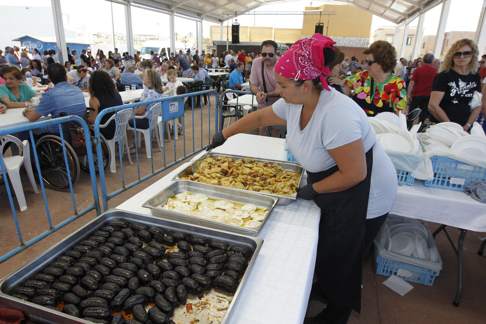 Fotogalería Día de Balanegra