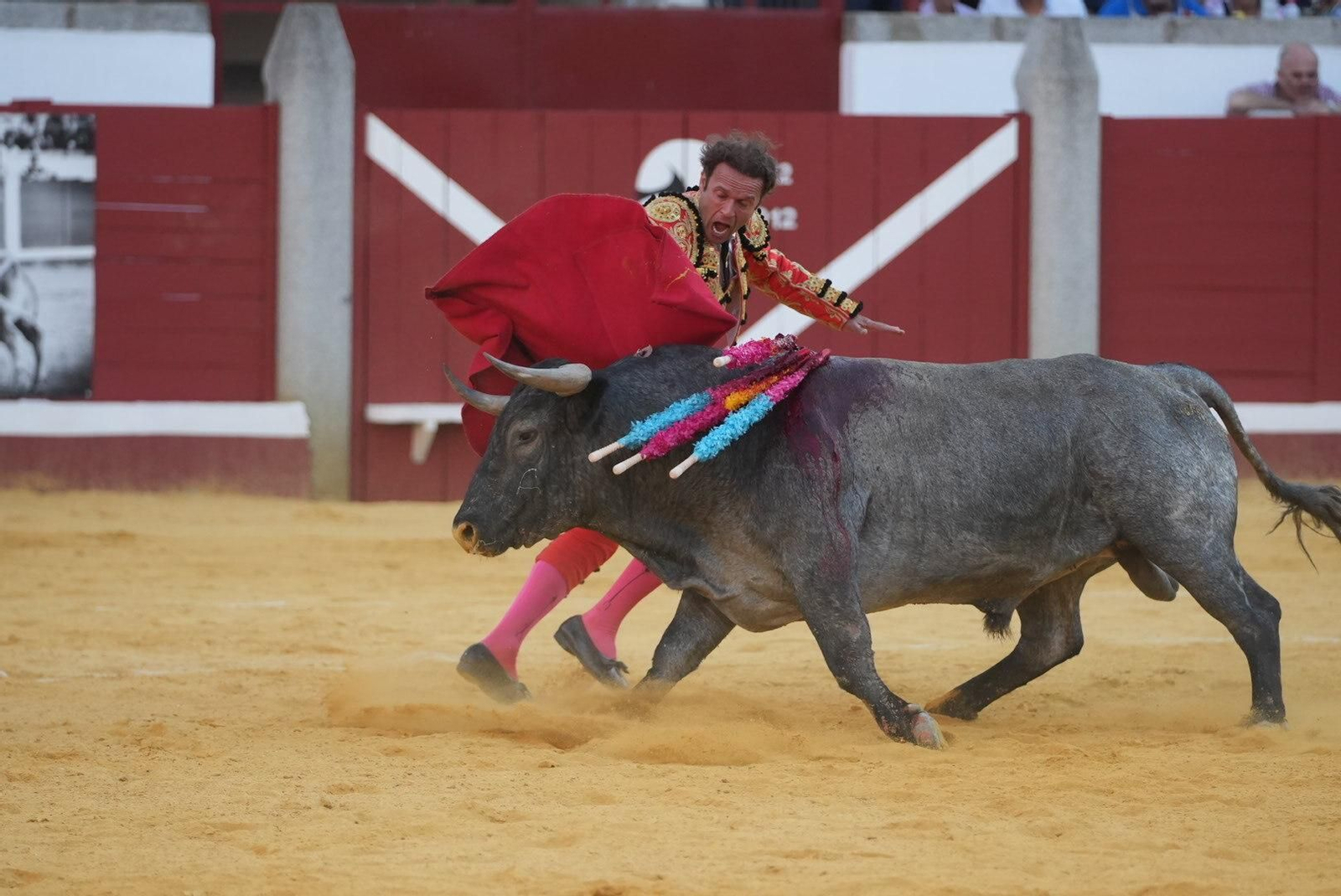 La corrida de toros de Ferrera, Escribano y Lamelas en Pozoblanco, en imágenes