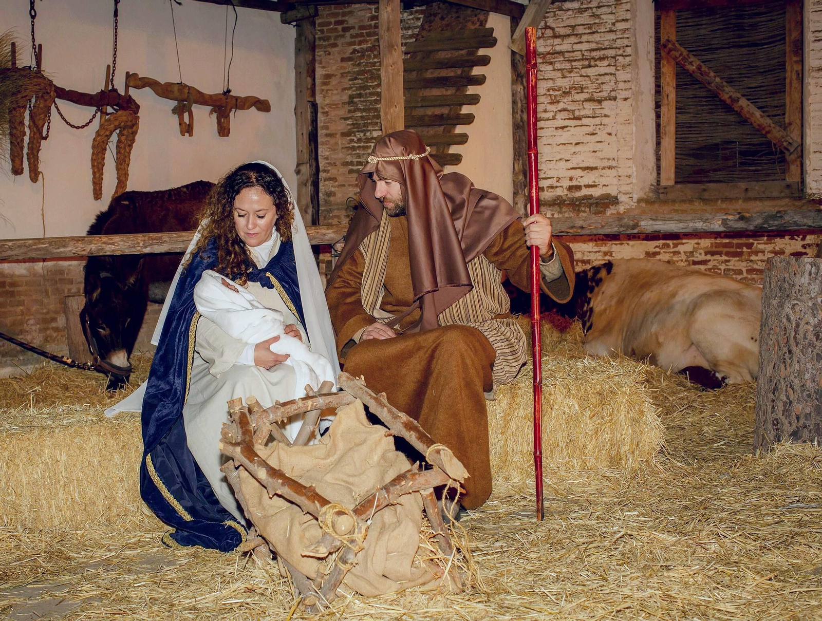 El Misterio del Nacimiento del belén viviente de Fontanar, que cuenta con animales reales.