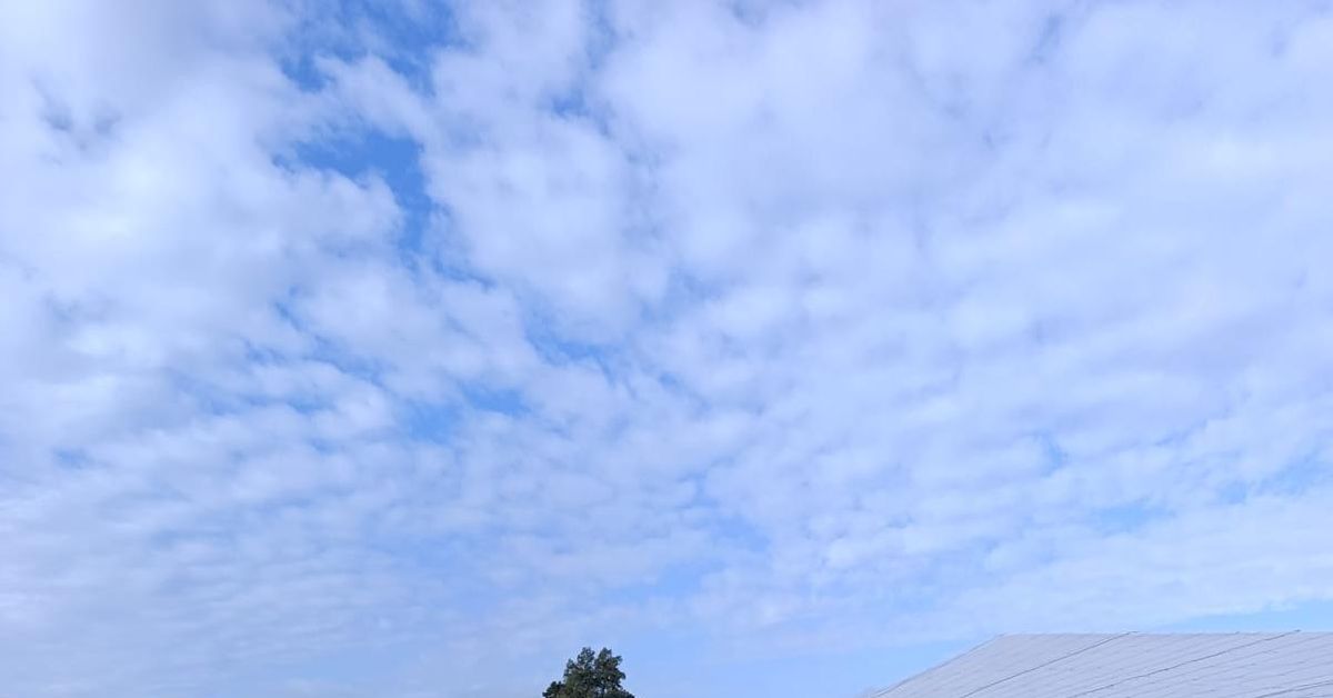 Con el agua al cuello: “O se buscan soluciones, o el campo de Chipiona tiene los días contados”