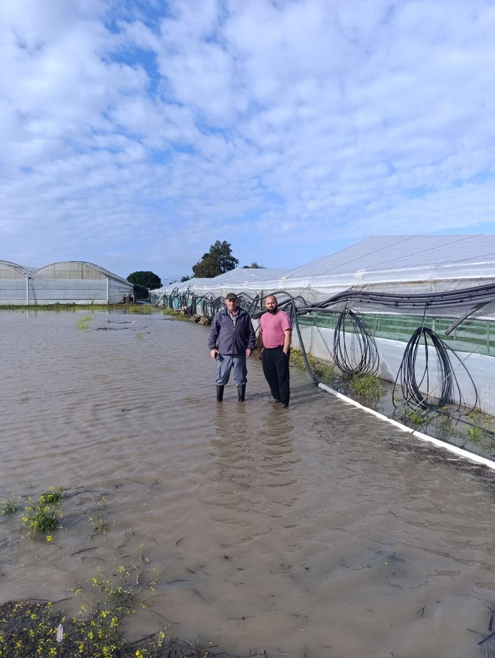 Los agricultores muestran los campos anegados en Chipiona.