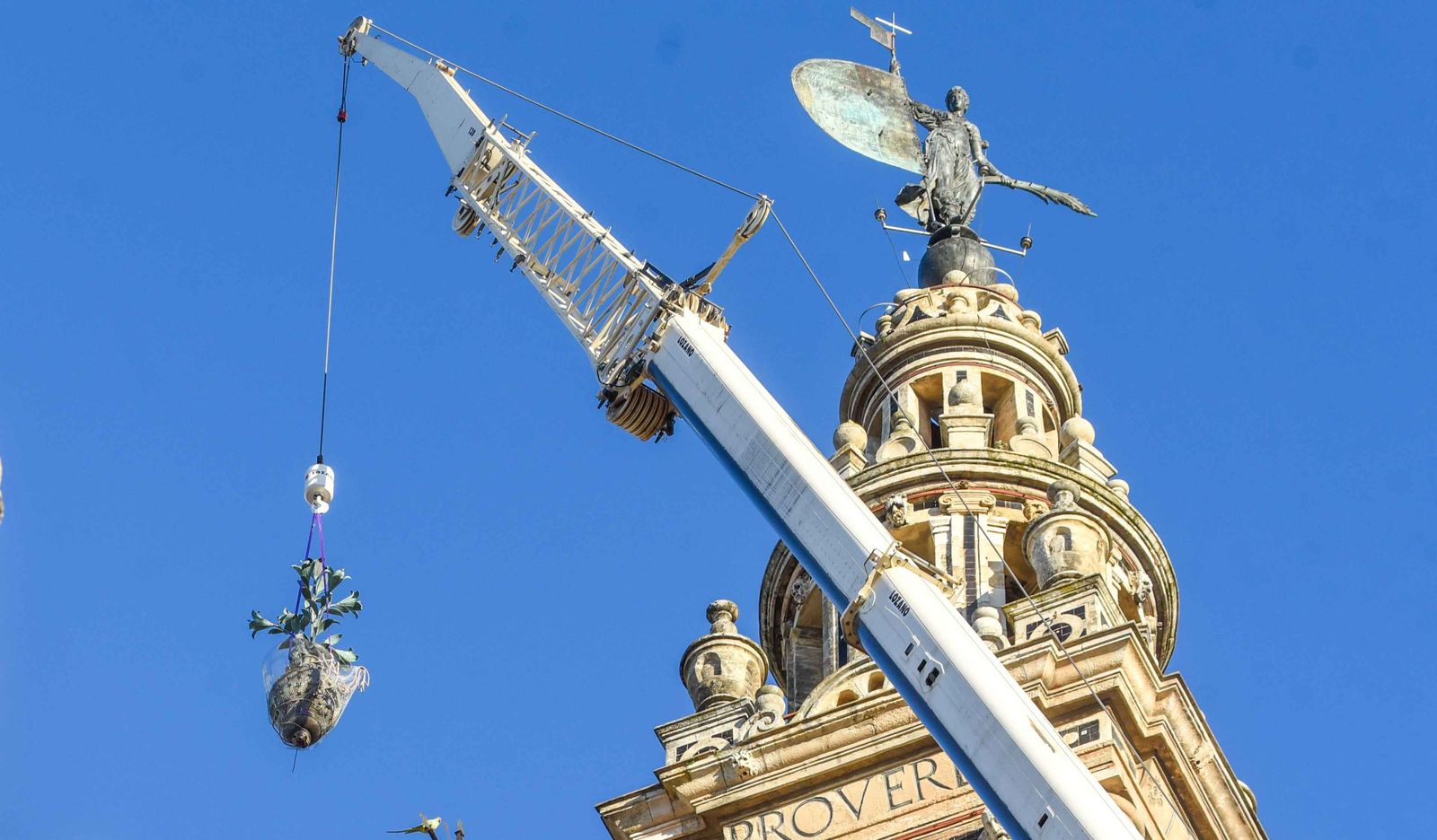 La retirada de las jarras de las azucenas de la Giralda, en imágenes