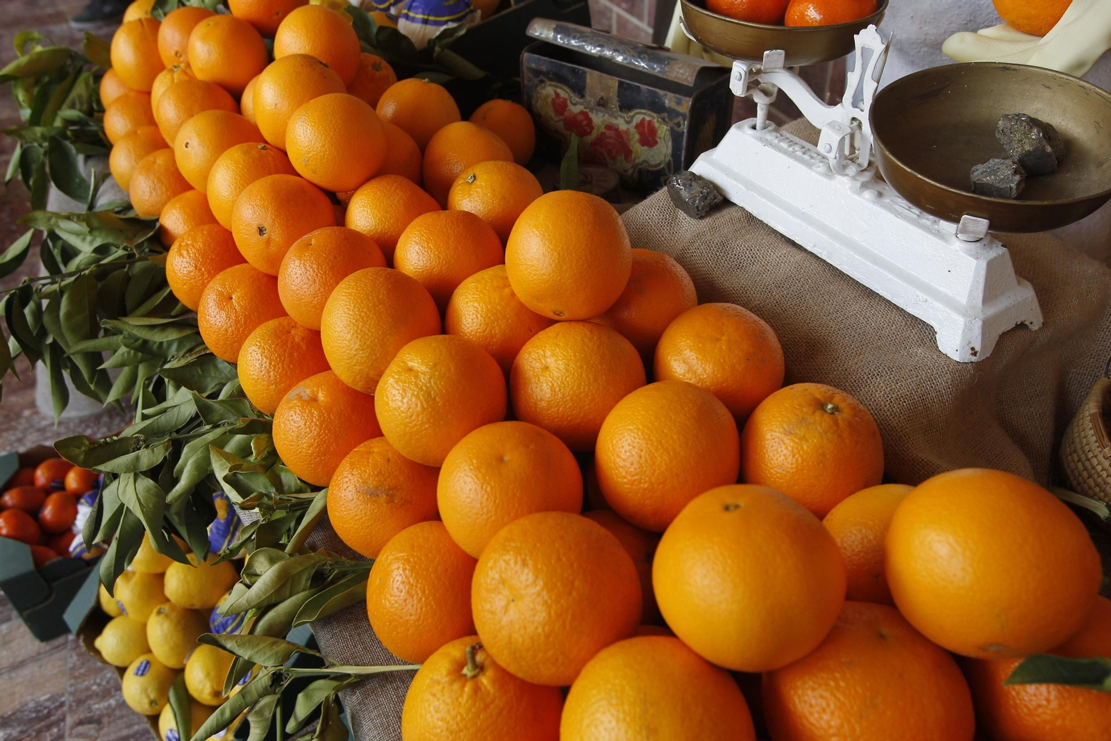 Fotogalería Día de la Naranja en Gádor