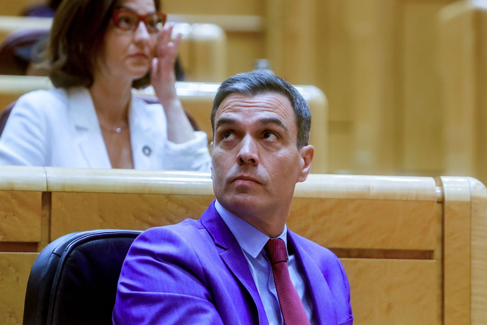 Pedro Sánchez, en el Senado el pasado mes de junio