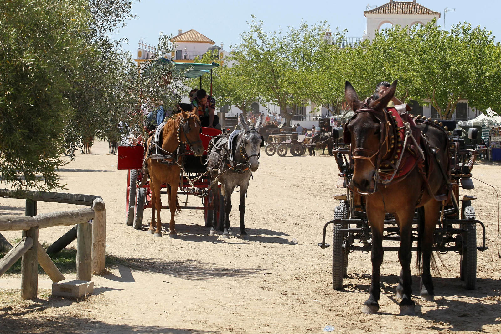 Imágenes del domingo de descanso en El Rocio