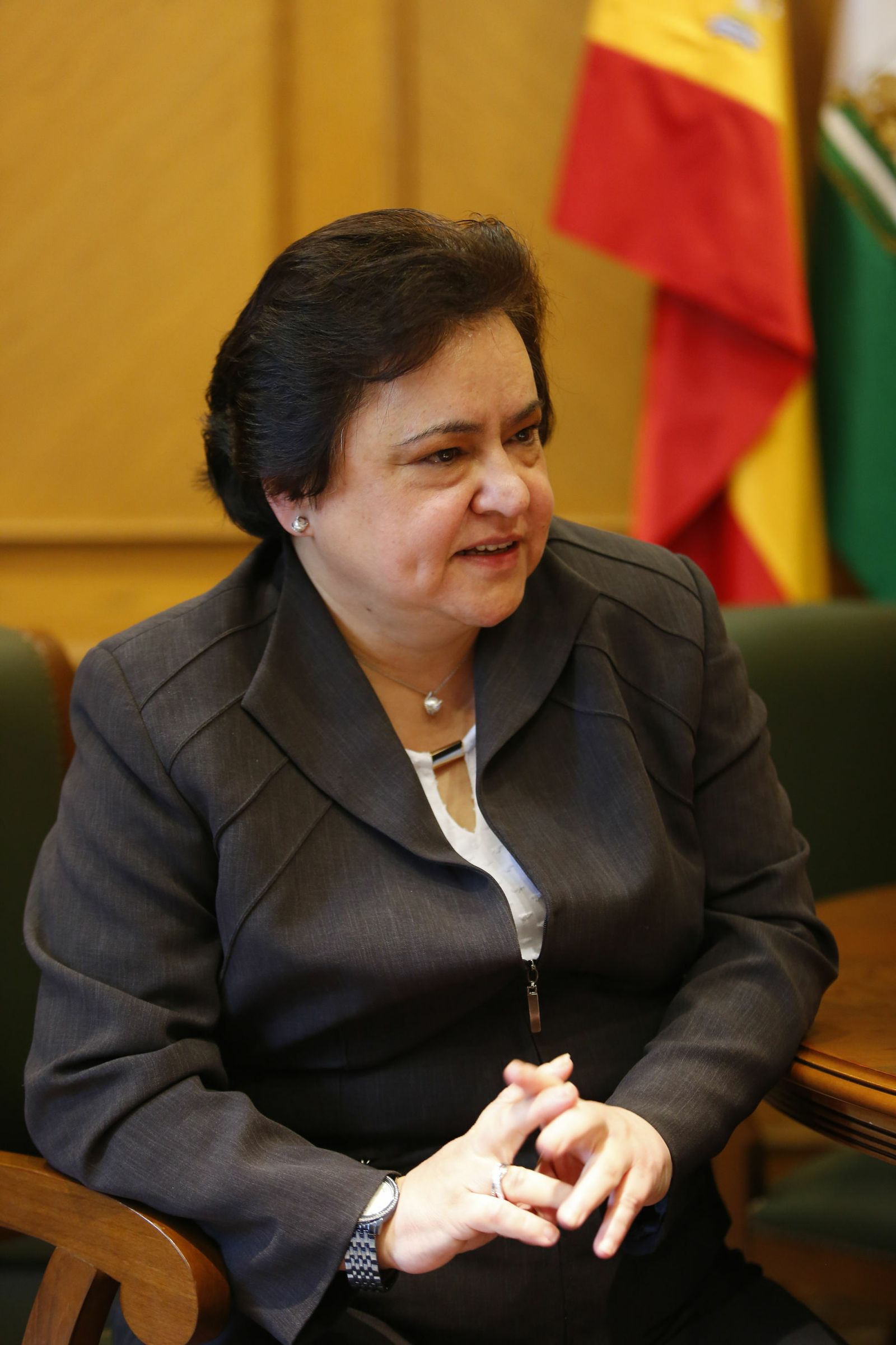 María Jesús Gallardo, Consejo Consultivo de Andalucía